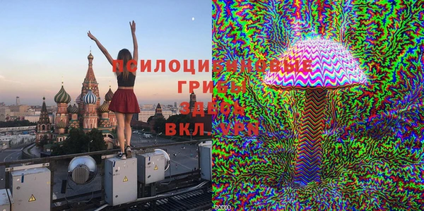 2c-b Алзамай