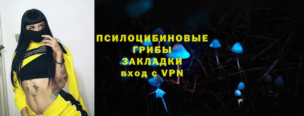 прущие крисы Арсеньев