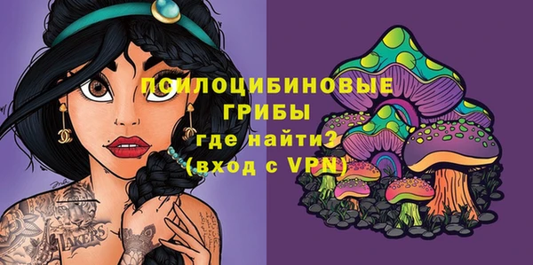 бошки Протвино