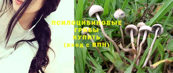прущие крисы Арсеньев