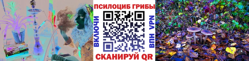 Галлюциногенные грибы мицелий  Могоча 